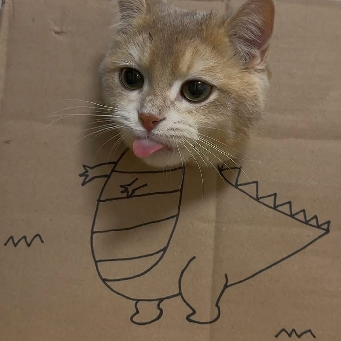 《英雄聯盟》皮一點又蠻可愛的暱稱匯總