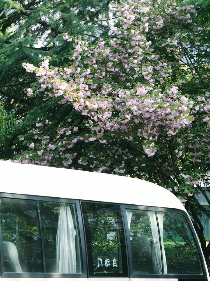 《英雄聯盟》2025最火女高雅暱稱推薦 《英雄聯盟》2025最火女高雅暱稱推薦