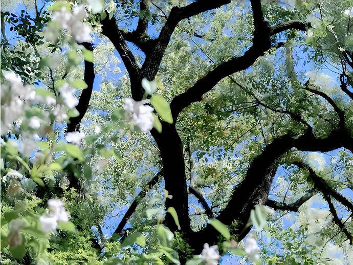 《LOL》可鹽可甜可奶可仙的網名匯總