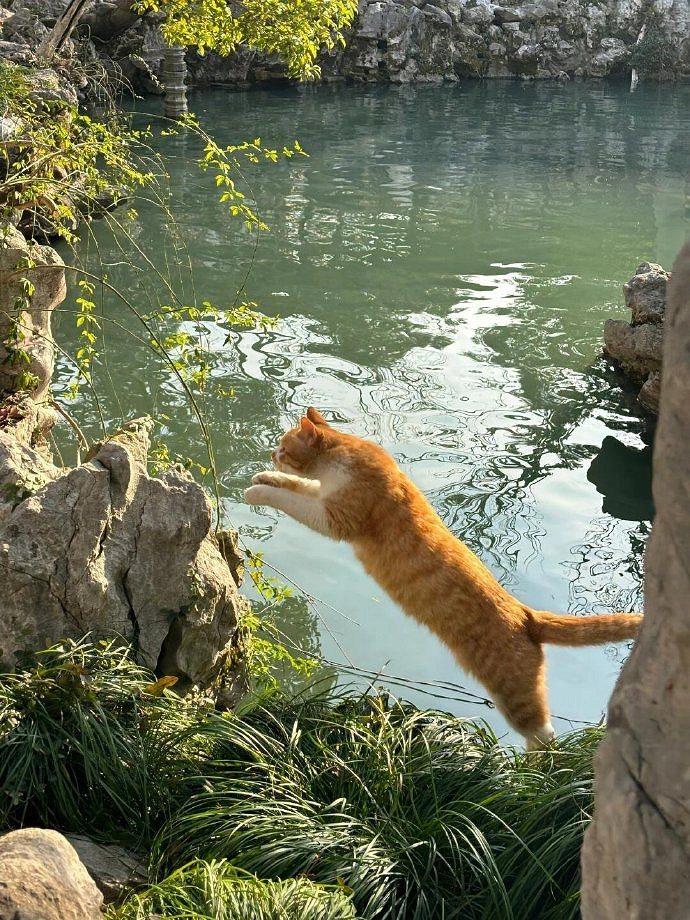 《英雄聯盟》2025最火女高雅暱稱推薦 《英雄聯盟》2025最火女高雅暱稱推薦