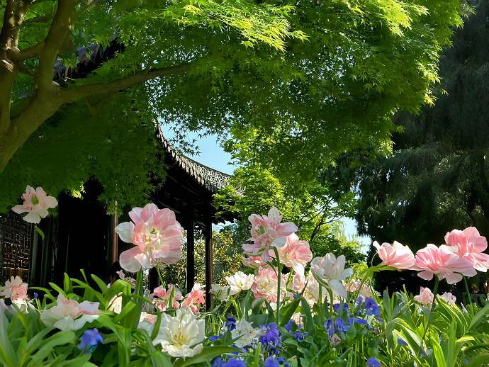 《LOL》可鹽可甜可奶可仙的網名匯總