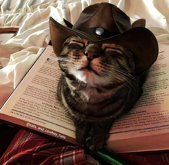 《英雄聯盟》30歲男人成熟暱稱匯總