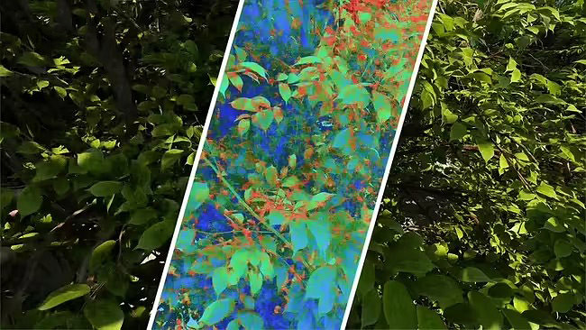 用AI給遊戲畫質打分！英特爾推出全新評估工具CGVQM