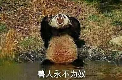 結合《星痕共鳴》 聊聊如何塑造異世界故事