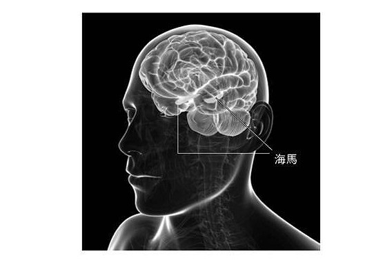 日本專家最新研究表明：遊戲可能帶來多項認知提升！