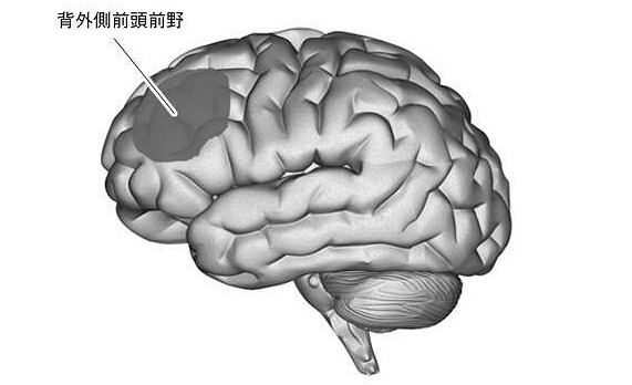 日本專家最新研究表明：遊戲可能帶來多項認知提升！