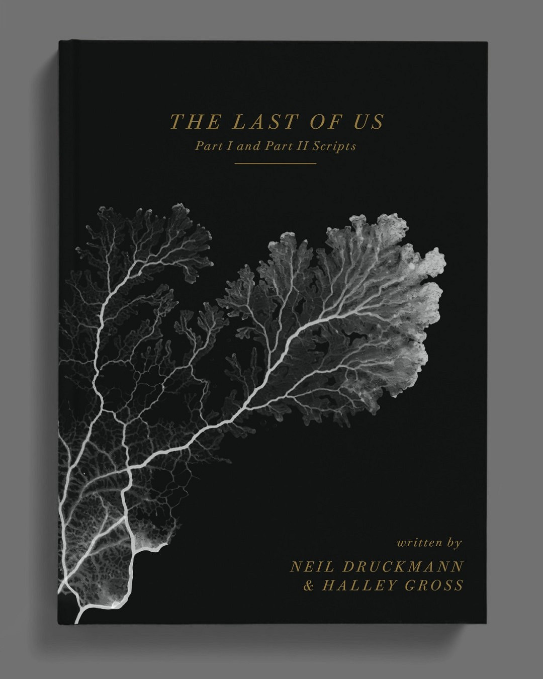 頑皮狗將推出《最後生還者：第一部與第二部 劇本》