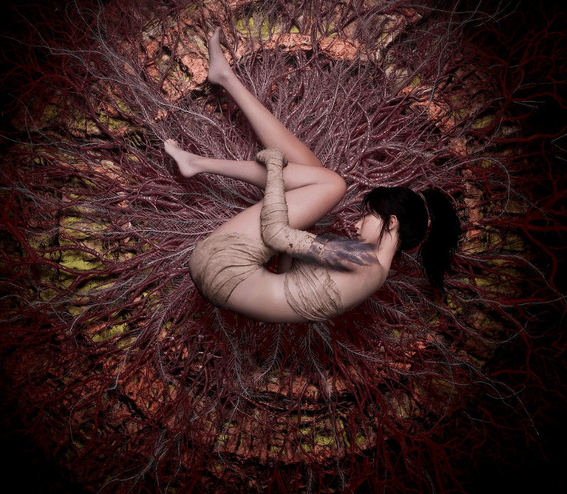 外媒吐槽《明末》1.5版本更新：過度妥協削弱體驗！