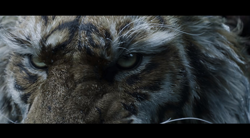 GC25:《黑神話:鍾馗》正式公布!前導預告公開 GC25:《黑神話:鍾馗》正式公布!前導預告公開