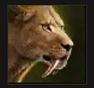 《最後紀元》全召喚物大全