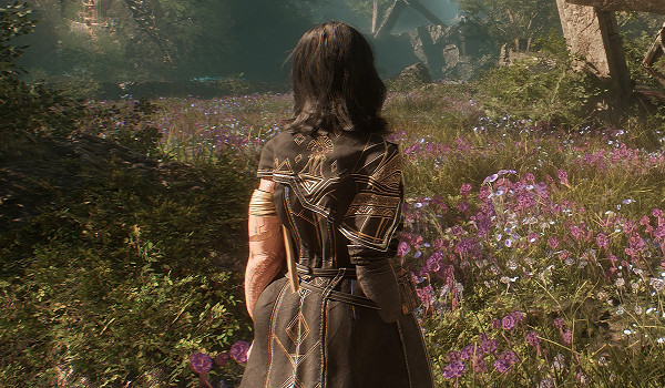 《光與影》Lune性感服裝MOD：自適應體型+戰鬥破損效果