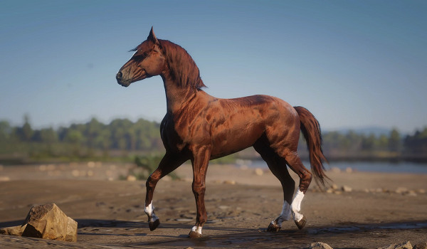 《荒野大鏢客2》達雷舒裡馬種MOD！鬃毛流光特效+傳說級耐力