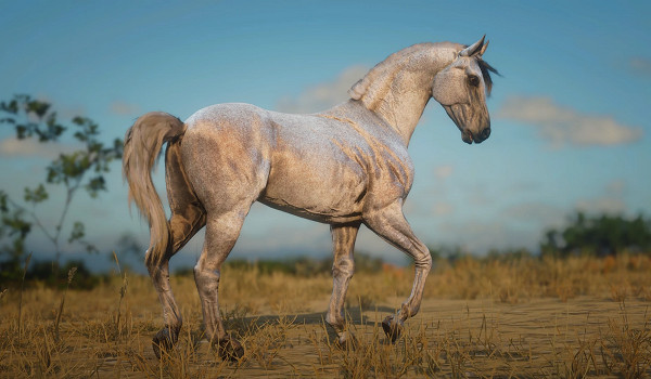 《荒野大鏢客2》達雷舒裡馬種MOD！鬃毛流光特效+傳說級耐力