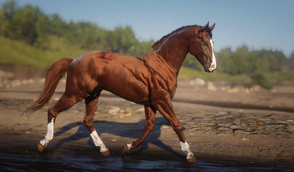 《荒野大鏢客2》達雷舒裡馬種MOD！鬃毛流光特效+傳說級耐力