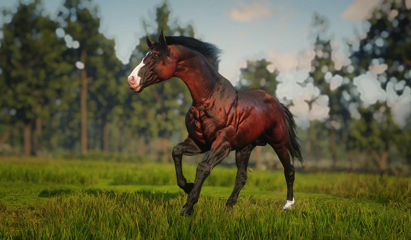 《荒野大鏢客2》達雷舒裡馬種MOD！鬃毛流光特效+傳說級耐力