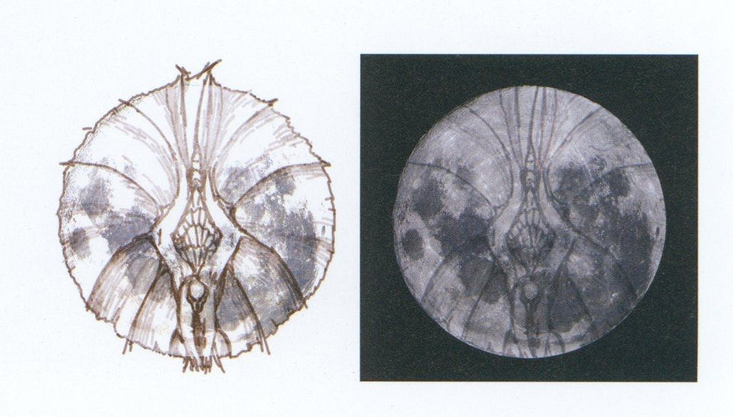 曝《怪獵》天廻龍早期概念圖：狀似月亮 莊嚴華美！