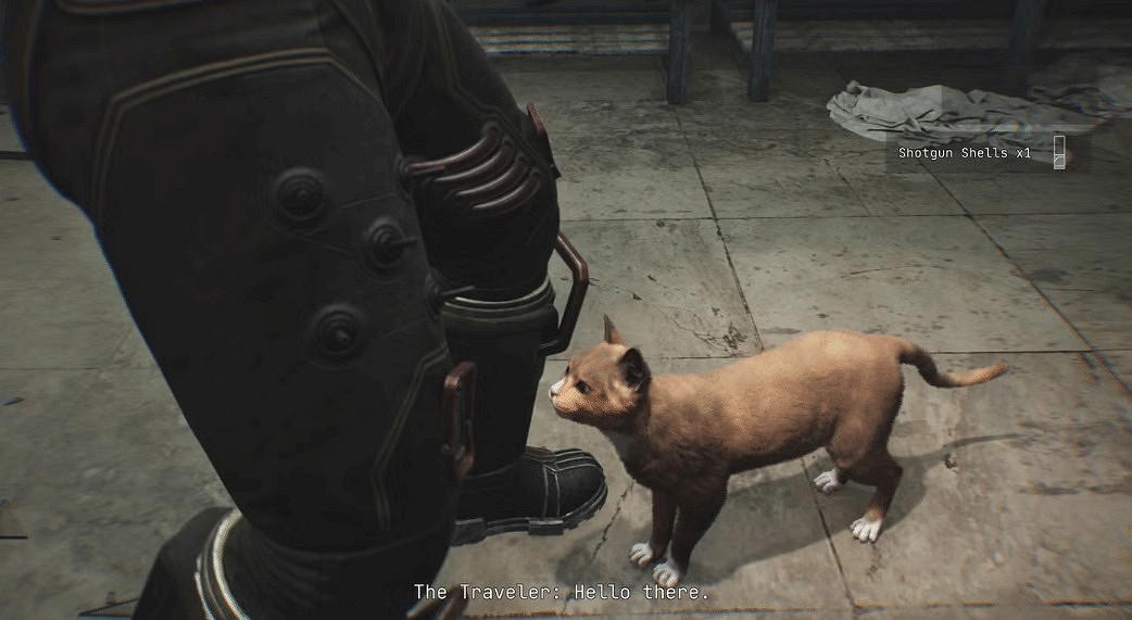 恐怖遊戲的治愈擔當!《時間旅者》加入可互動小貓 恐怖遊戲的治愈擔當!《時間旅者》加入可互動小貓