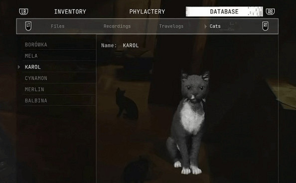 恐怖遊戲的治愈擔當!《時間旅者》加入可互動小貓 恐怖遊戲的治愈擔當!《時間旅者》加入可互動小貓