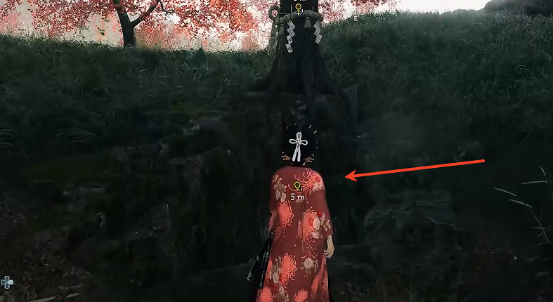 《浪人崛起》隱藏Boss位置