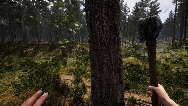 《名望》Steam搶先體驗評價褒貶不一！好評率僅為56%