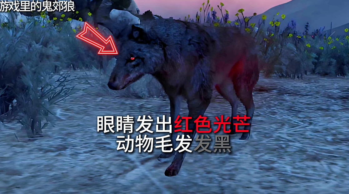 GTAOL/GTA增強版萬聖節活動月到來!持續時間最長、活動最多、獎勵最豐富的狂歡! GTAOL/GTA增強版萬聖節活動月到來!持續時間最長、活動最多、獎勵最豐富的狂歡!