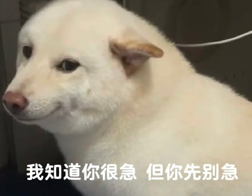 我決定穿越進網路小說打遊戲