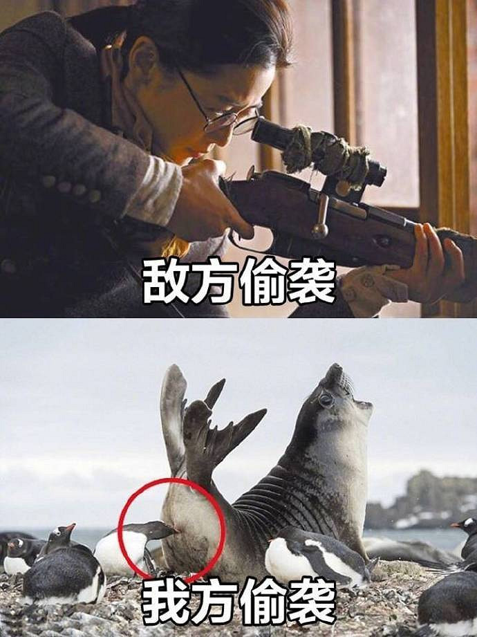 當戰法牧遇上奪寶射擊 《灰境行者》首曝解析