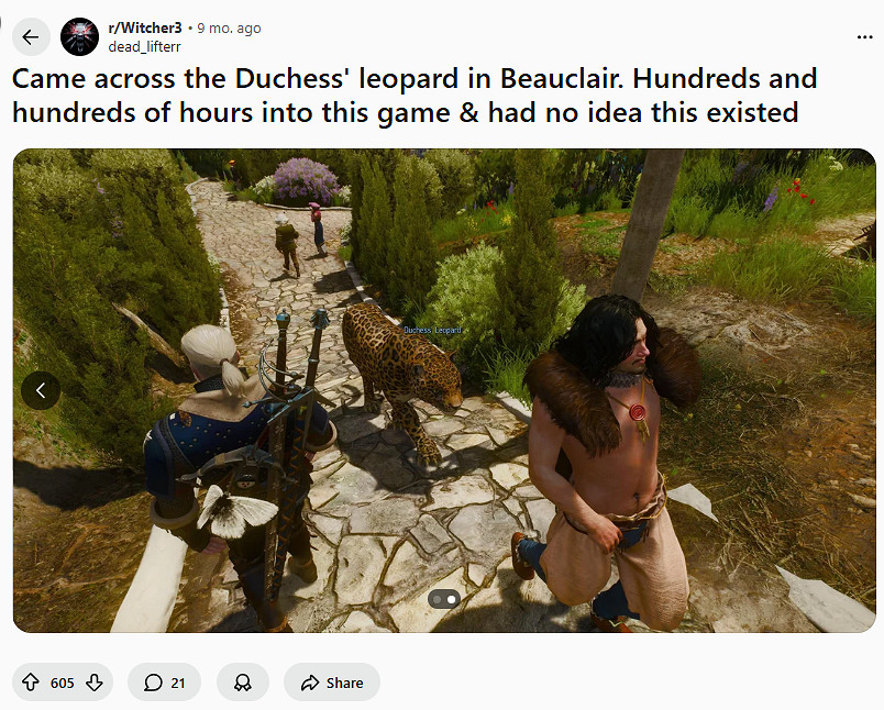 數百小時《巫師3》玩家分享新發現:這遊戲還有花豹? 數百小時《巫師3》玩家分享新發現:這遊戲還有花豹?