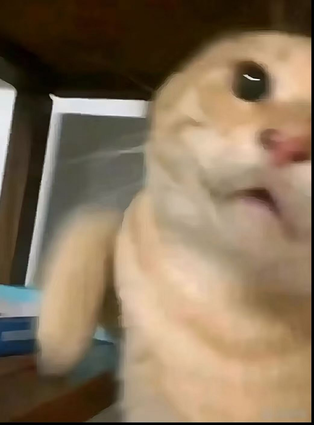 不要血怒挑戰:別笑,你試也過不了第二關 不要血怒挑戰:別笑,你試也過不了第二關