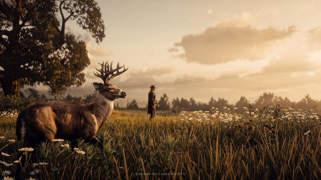 亞瑟原本更悲情?R星確認《大鏢客2》曾設定喪子背景 亞瑟原本更悲情?R星確認《大鏢客2》曾設定喪子背景