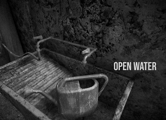 意大利獨立工作室新作《Horses》遭Steam禁止上架