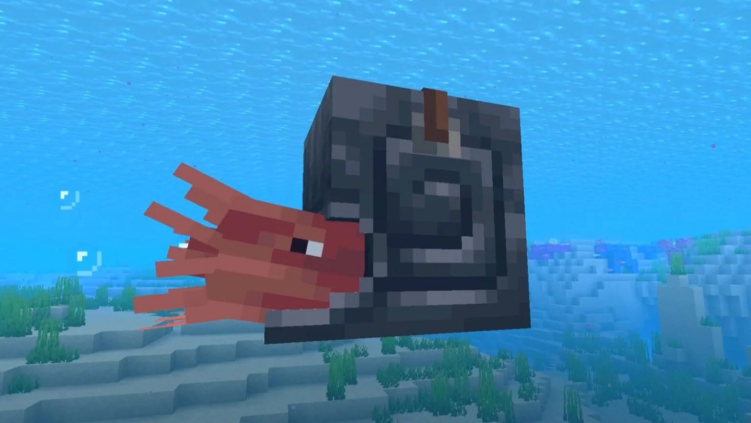 《當個創世神麥塊》新更新逼瘋收集黨 鸚鵡螺神裝爆率僅1% 《當個創世神麥塊》新更新逼瘋收集黨 鸚鵡螺神裝爆率僅1%