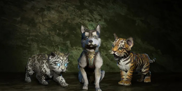 《暗黑破壞神4》免費寵物推薦