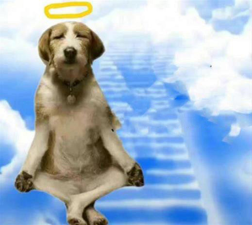 幀數拉滿 飄飄欲仙！外媒盤點2025年優化最好的PC遊戲