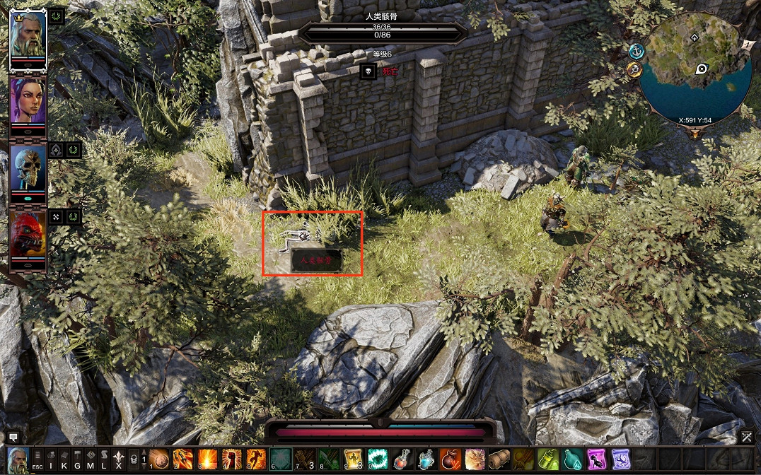 《神諭：原罪2》粉碎的頭骨獲取方法