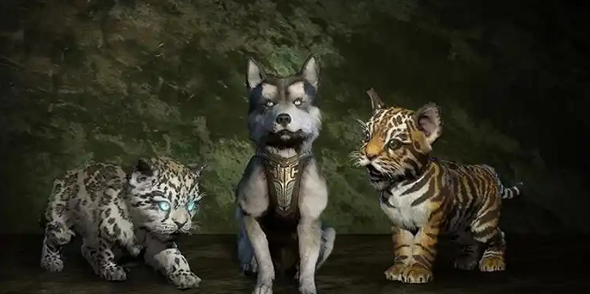 《暗黑破壞神4》寵物裝備位置介紹