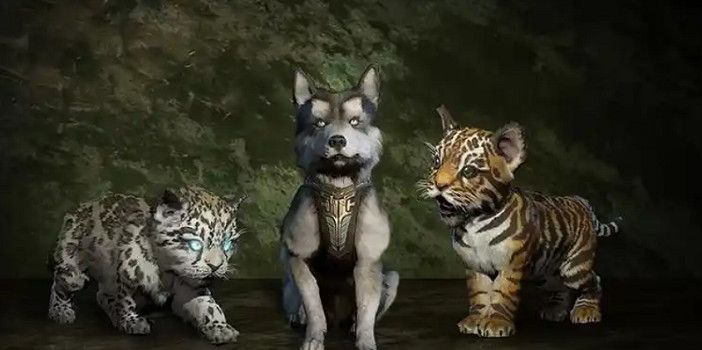 《暗黑破壞神4》寵物裝備位置介紹