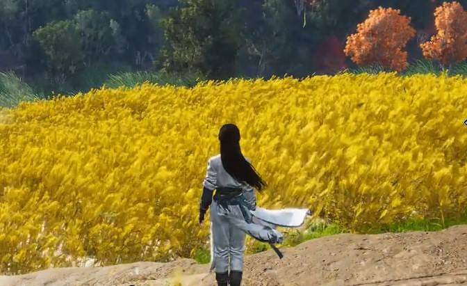 《燕雲十六聲》無限刷麥穗方法 《燕雲十六聲》無限刷麥穗方法