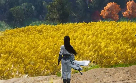 《燕雲十六聲》無限刷麥穗方法