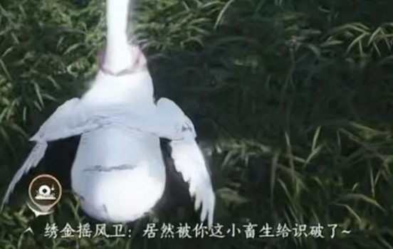 《燕雲十六聲》怪盜一隻鵝成就完成方式