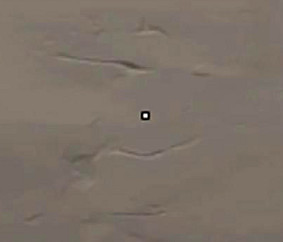 《特戰英豪》準星程式碼大全2026最新