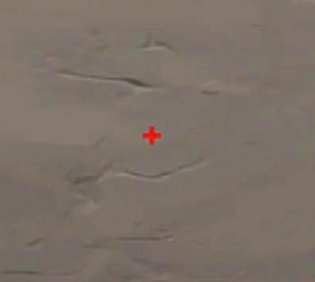 《特戰英豪》準星程式碼大全2026最新