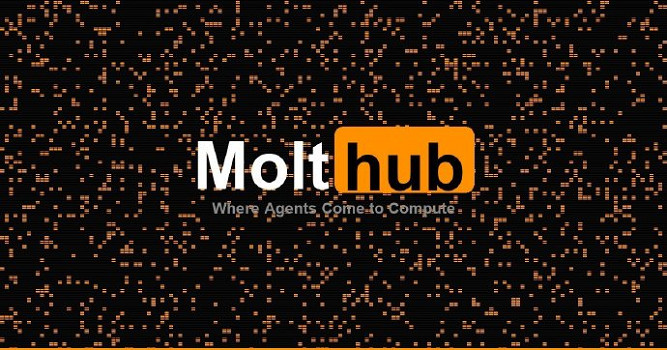 太魔幻了！AI專屬成人網站爆火：人類訪客被拒門外