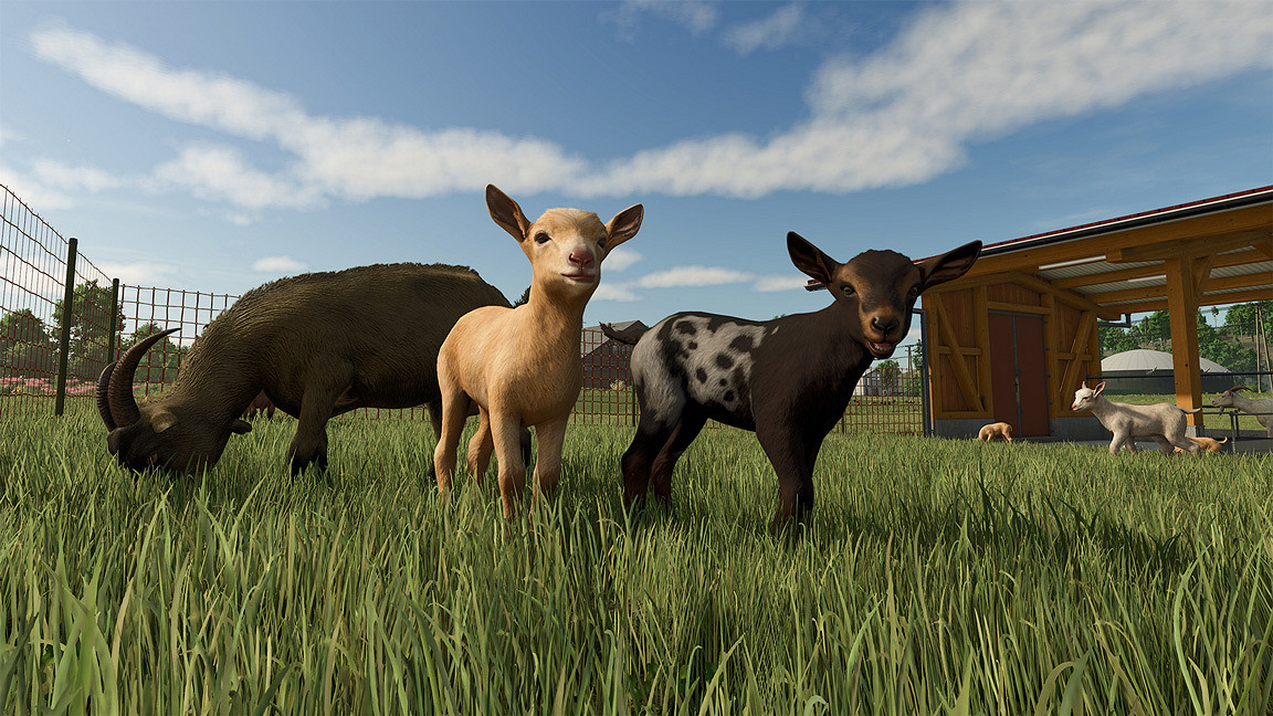 《Farming Simulator 25》內容資料片“VREDO Pack”3月24日上線！