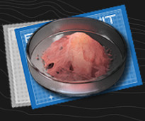 《明日方舟終末地》全系統藍圖圖鑒 《明日方舟終末地》全系統藍圖圖鑒