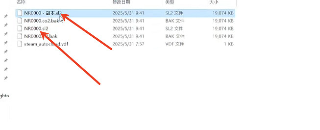 《艾爾登法環黑夜君臨》存檔替換介紹