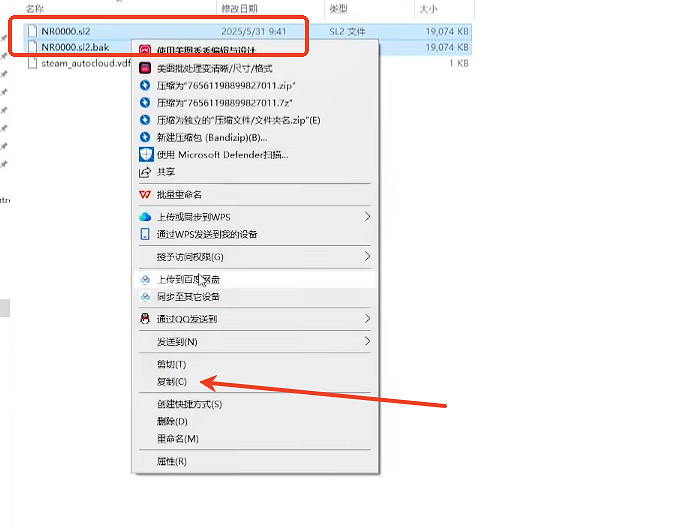 《艾爾登法環黑夜君臨》存檔替換介紹