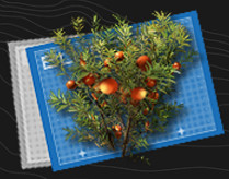 《明日方舟終末地》全系統藍圖圖鑒 (第22頁：蕎花藍圖解鎖方法)