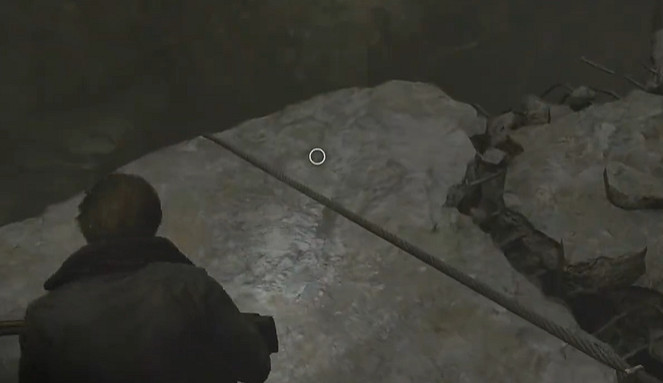 《惡靈古堡安魂曲》全43號植物幼苗位置介紹 《惡靈古堡安魂曲》全43號植物幼苗位置介紹