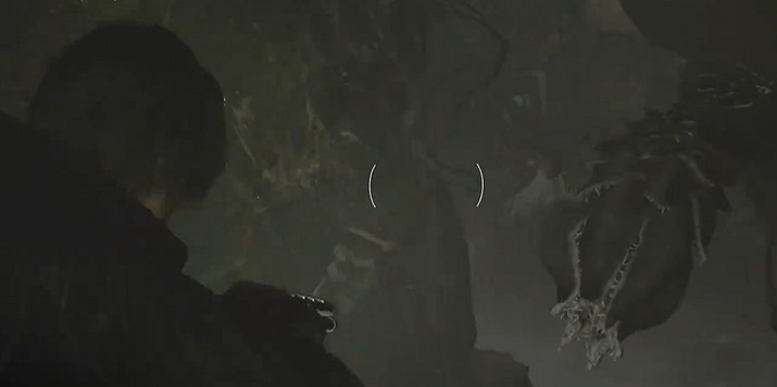 《惡靈古堡安魂曲》全43號植物幼苗位置介紹 《惡靈古堡安魂曲》全43號植物幼苗位置介紹